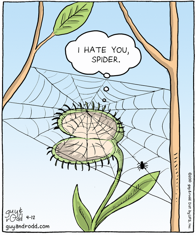 brevity